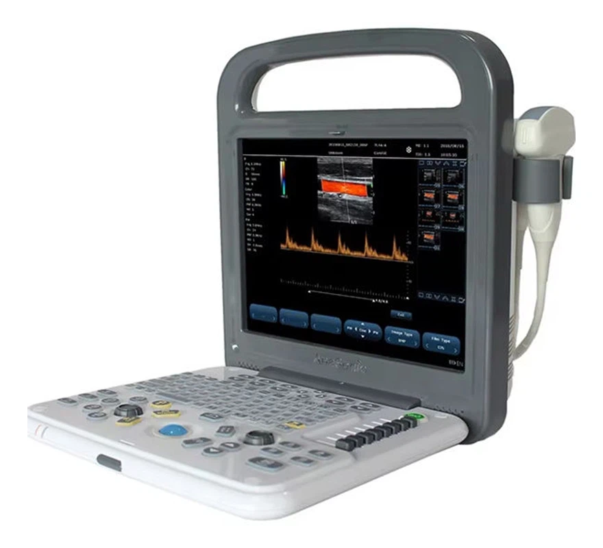 animal pregnancy ultrasound animal pregnancy ultrasound