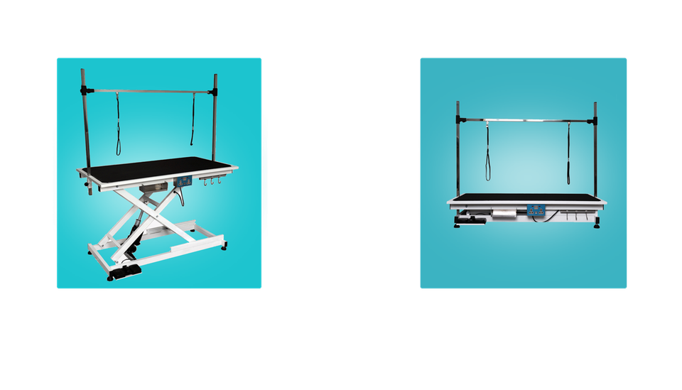 product-2048-1170 product-2048-1170