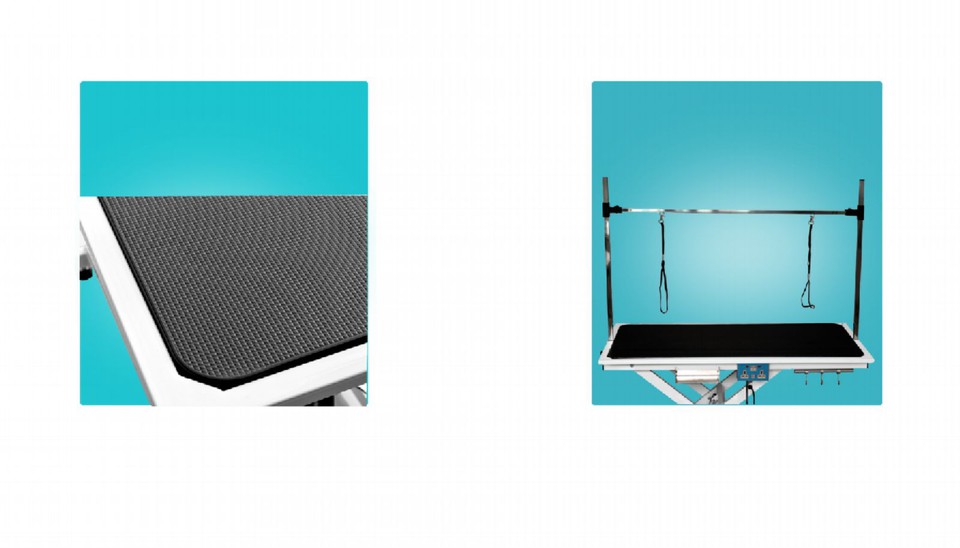 product-1600-914 product-1600-914